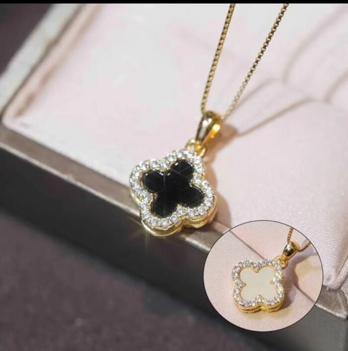 WhatsApp Image 2025 09 15 at 15.35.47 1